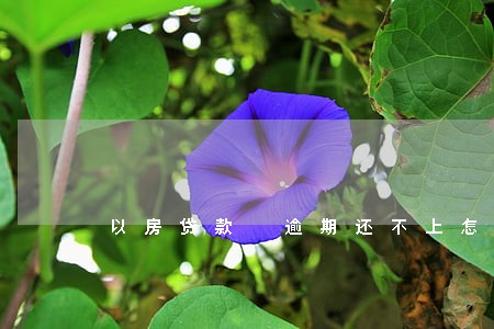 以房贷款 逾期还不上怎么办 以房贷款 逾期还不上怎么办